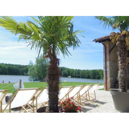 Camping La Grange Du Pin