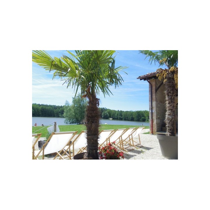 Camping La Grange Du Pin