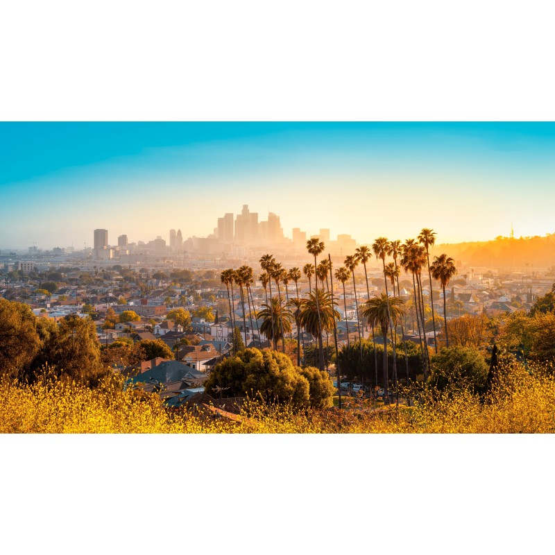 Sunny California: Hollywood & Aloha Hawaii!