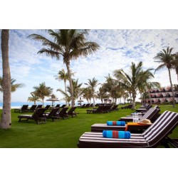JA Palm Tree Court