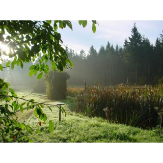 Italienische Wellness Auszeit im Erzgebirge inkl. Holzofenpizza