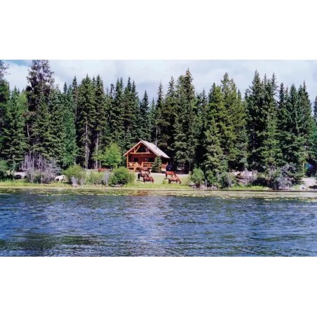 Alpine Meadows Resort
