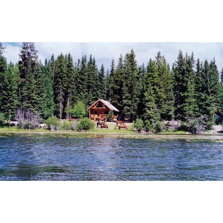 Alpine Meadows Resort