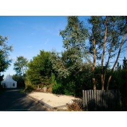 Camping Les Peupliers