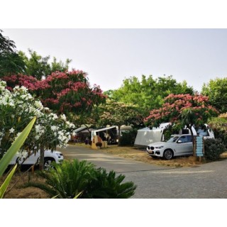 Camping au Paradis des Campeurs Camping au Paradis des Campeurs