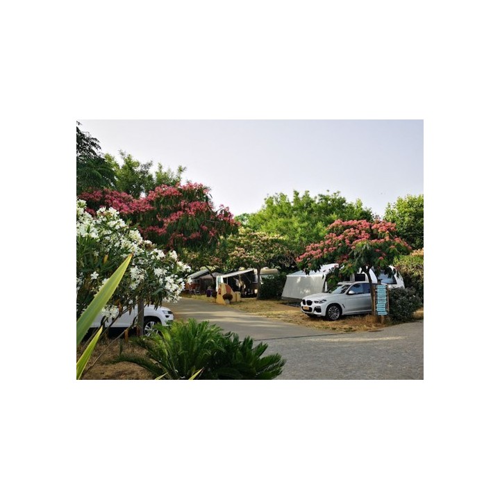 Camping au Paradis des Campeurs Camping au Paradis des Campeurs