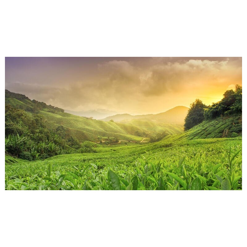 Rundreisen Malaysia: Rundreise ab/an Kuala Lumpur