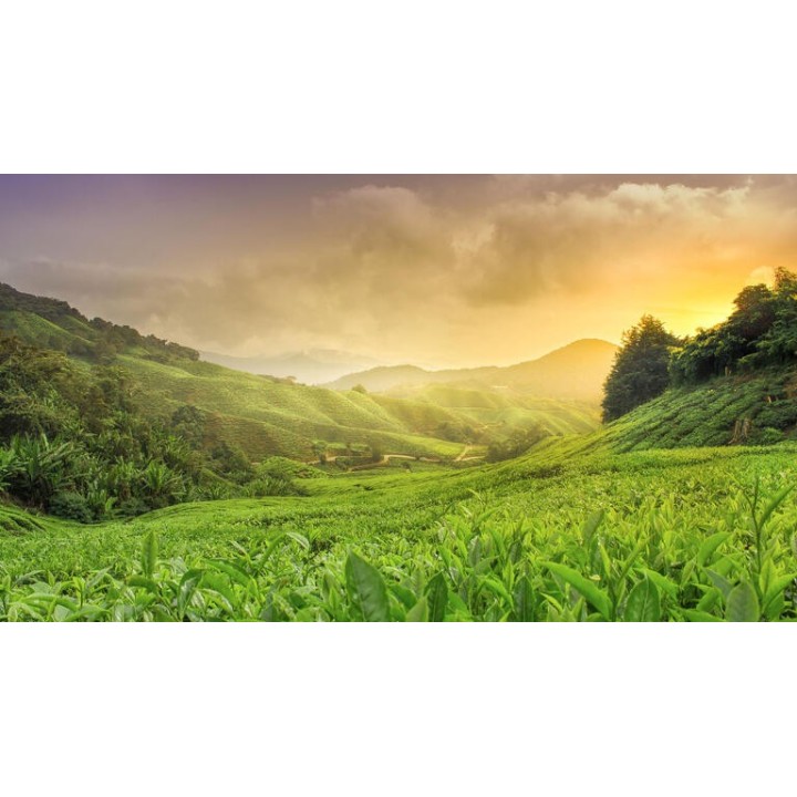 Rundreisen Malaysia: Rundreise ab/an Kuala Lumpur