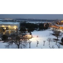 Hotel Mercader