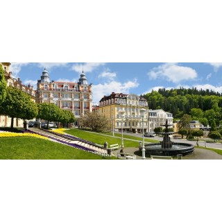 Hvězda - Imperial Ensana Health Spa Hotel