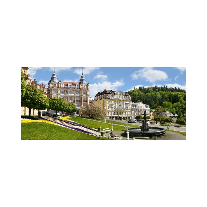 Hvězda - Imperial Ensana Health Spa Hotel