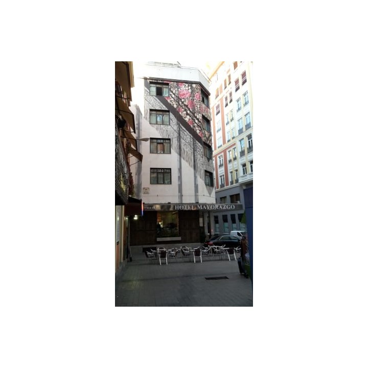 Hotel Mayorazgo