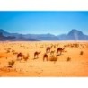 Erlebnisreisen Jordanien: Unterwegs auf königlichen Pfaden