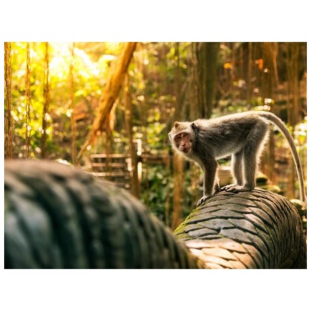 Kombinationsreisen Indonesien - Bali: Insel der Götter mit Entspannung in Nusa Dua