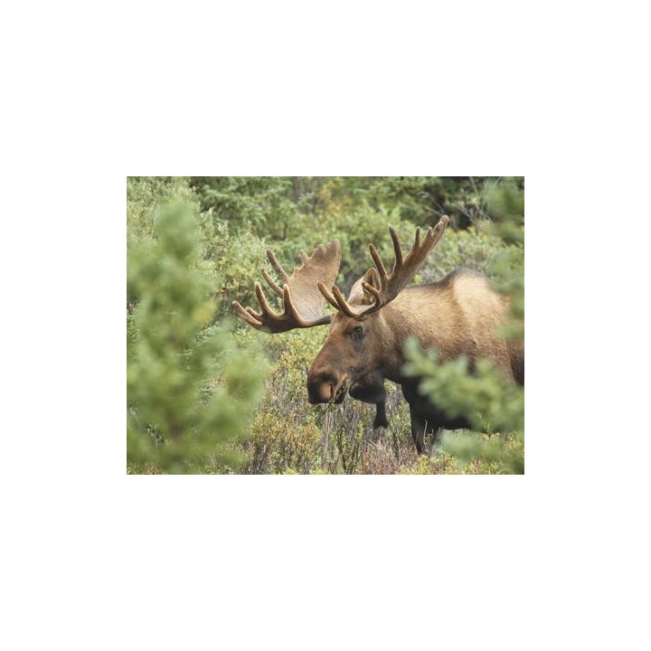 Rundreisen Schweden: Standort-Rundreise ab/an Värnamo inkl. Insel Öland und Växjö