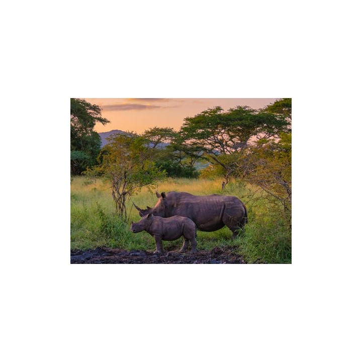 Rundreisen Südafrika: Kapstadt bis Durban: Afrikas Vielfalt erleben mit Aufenthalt im Hotel Beverly Hills