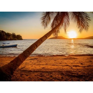 Rundreisen Madagaskar: Naturwunder und Küstenzauber inkl. Black Lemur Camp