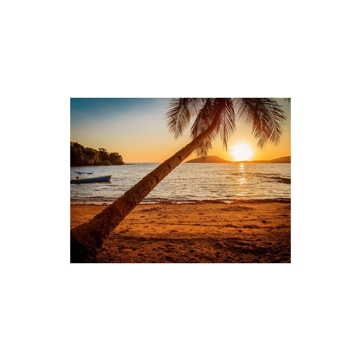 Rundreisen Madagaskar: Naturwunder und Küstenzauber inkl. Black Lemur Camp