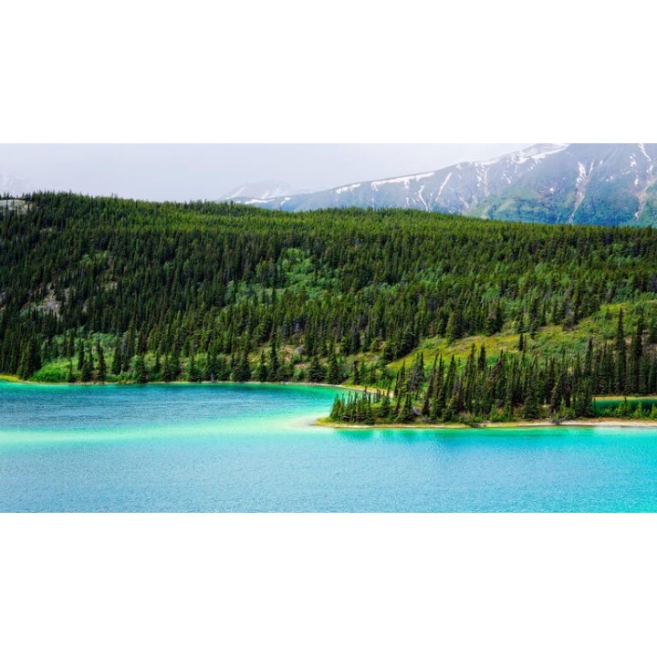 Rundreisen Kanada & USA: Rundreise ab/an Whitehorse