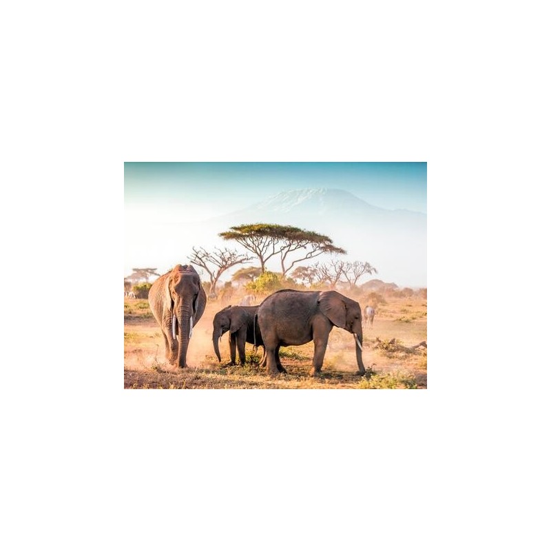 Kombinationsreisen Tansania & Kenia: Safariabenteuer und Erholung am Traumstrand mit Badeaufenthalt im Leopard Beach Resort &