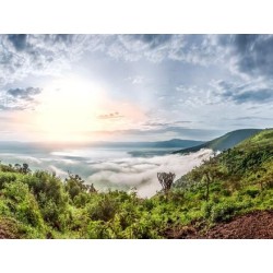 Kombinationsreisen Tansania & Sansibar: Wilde Natur und weißer Sand