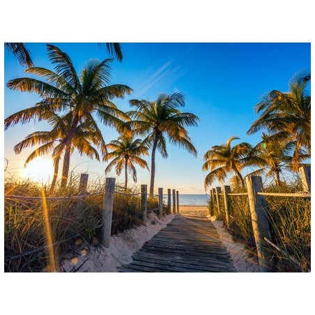 Rundreisen USA - Florida: Sunshine State entdecken inkl. 3 Nächte Baden in Miami Beach