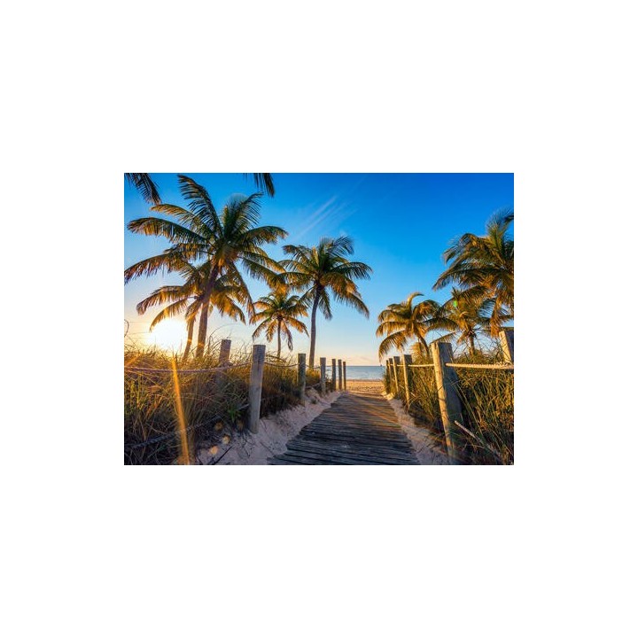 Rundreisen USA - Florida: Sunshine State entdecken inkl. 3 Nächte Baden in Miami Beach