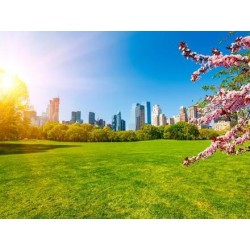 Rundreisen USA: Von Ost nach West – Das Land der Freiheit in Upgradehotels