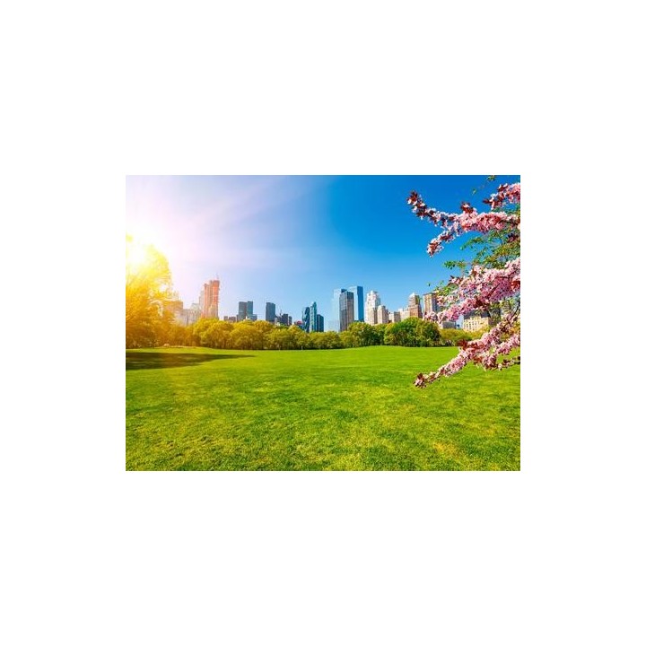 Rundreisen USA: Von Ost nach West – Das Land der Freiheit in Upgradehotels