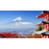 Rundreisen Japan: Rundreise von Tokio bis Kyoto