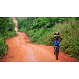 Rundreisen Togo & Benin: Voodoozauber und Naturwunder entdecken