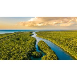 Rundreisen USA - Florida: Sunshine State entdecken: Natur, Städte & Strände