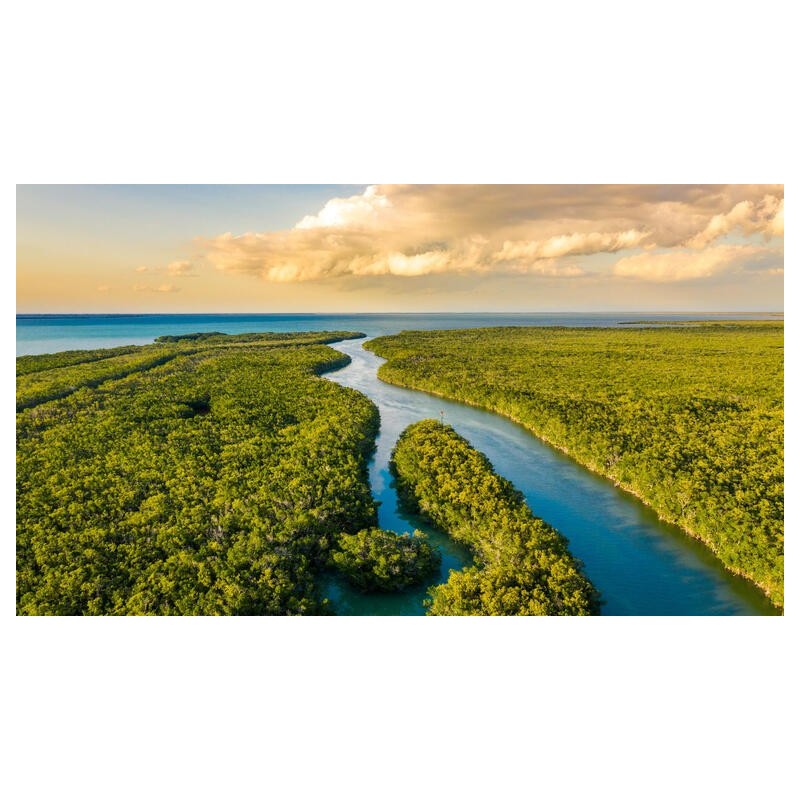 Rundreisen USA - Florida: Sunshine State entdecken: Natur, Städte & Strände