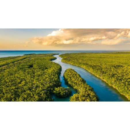 Rundreisen USA - Florida: Sunshine State entdecken: Natur, Städte & Strände