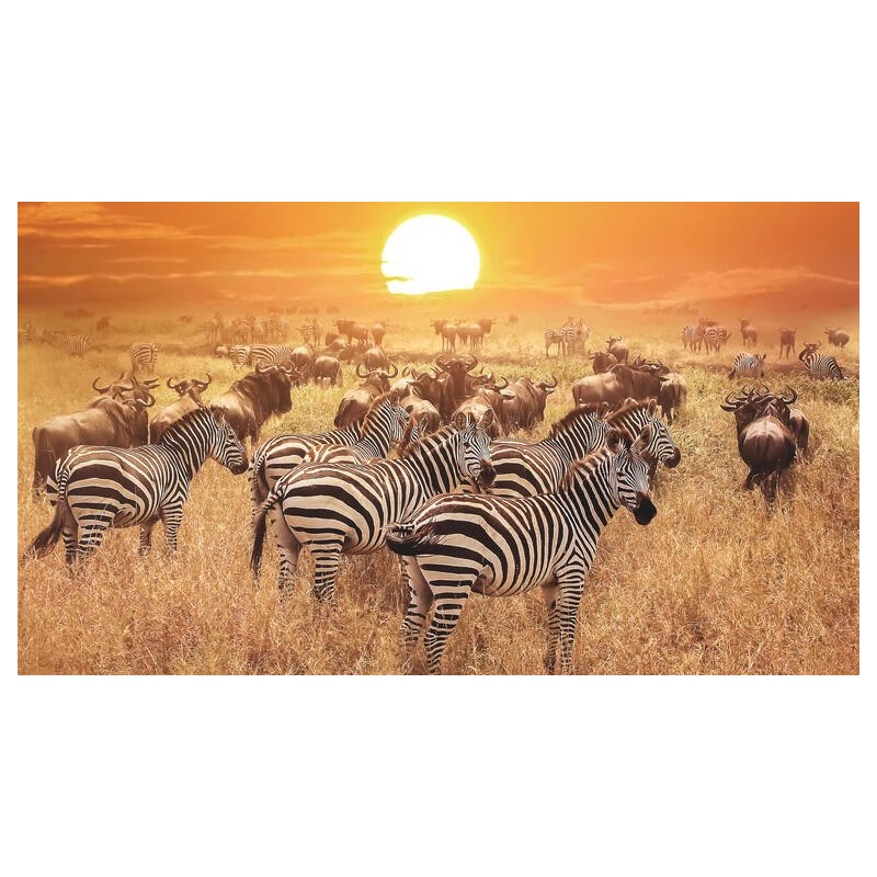 Rundreisen Tansania & Sansibar: Von der Serengeti nach Sansibar