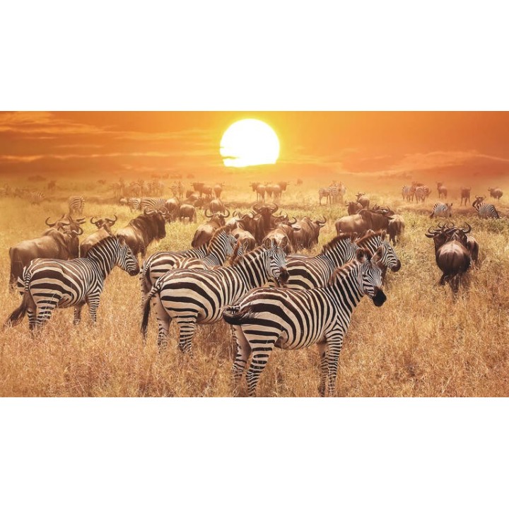 Rundreisen Tansania & Sansibar: Von der Serengeti nach Sansibar