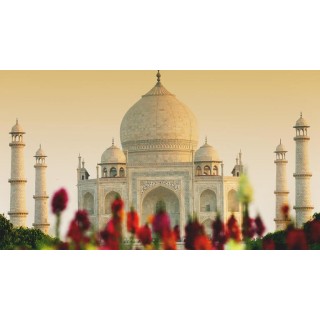 Rundreisen Indien: Rundreise ab/an Delhi inkl. Besuch des Taj Mahal