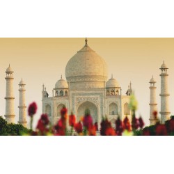 Rundreisen Indien: Rundreise ab/an Delhi inkl. Besuch des Taj Mahal