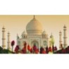 Rundreisen Indien: Rundreise ab/an Delhi inkl. Besuch des Taj Mahal
