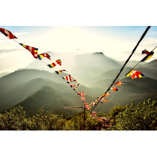 Sri Lanka hautnah: Dschungelbuch & Inselabenteuer