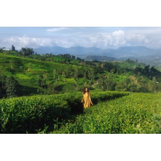 Sri Lanka & Malediven: Highland Highs meet Beach Paradise