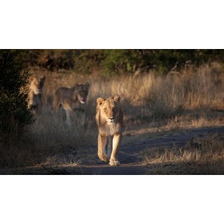 Rundreisen Südafrika: Regenbogen-Nation entdecken