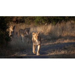 Rundreisen Südafrika: Regenbogen-Nation entdecken