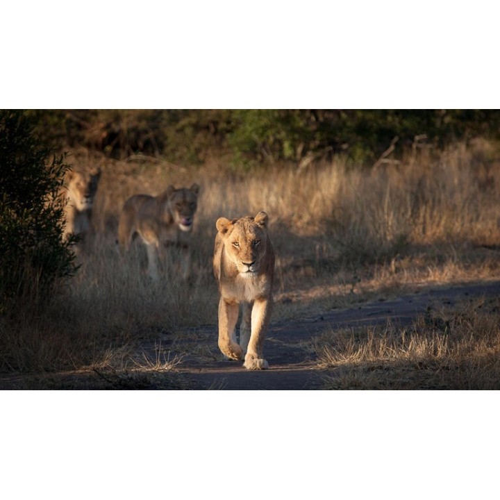 Rundreisen Südafrika: Regenbogen-Nation entdecken