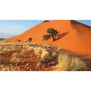 Rundreisen Namibia: Wildnis erleben: Von Dünen zu Savannen