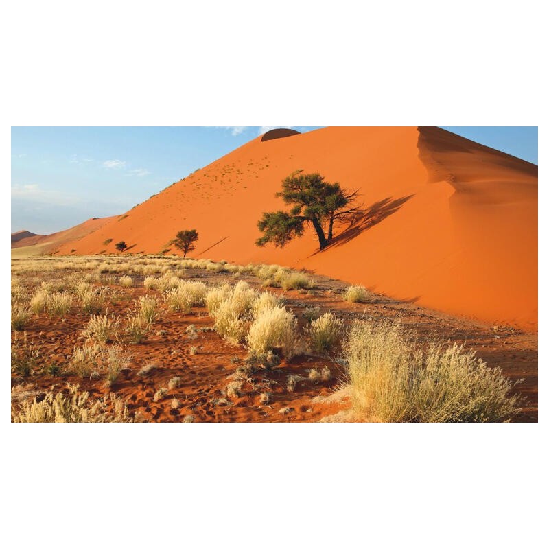 Rundreisen Namibia: Wildnis erleben: Von Dünen zu Savannen