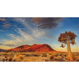 Rundreisen Namibia: Safari, Sanddünen und unentdeckte Welten