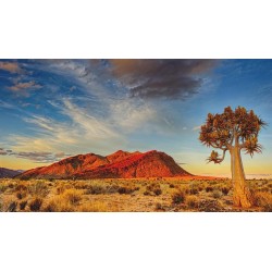 Rundreisen Namibia: Safari, Sanddünen und unentdeckte Welten