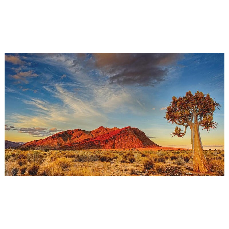 Rundreisen Namibia: Safari, Sanddünen und unentdeckte Welten