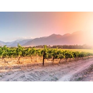 Rundreisen Südafrika: Safari-Abenteuer und Boutique-Komfort inkl. 3 Nächte in Kapstadt